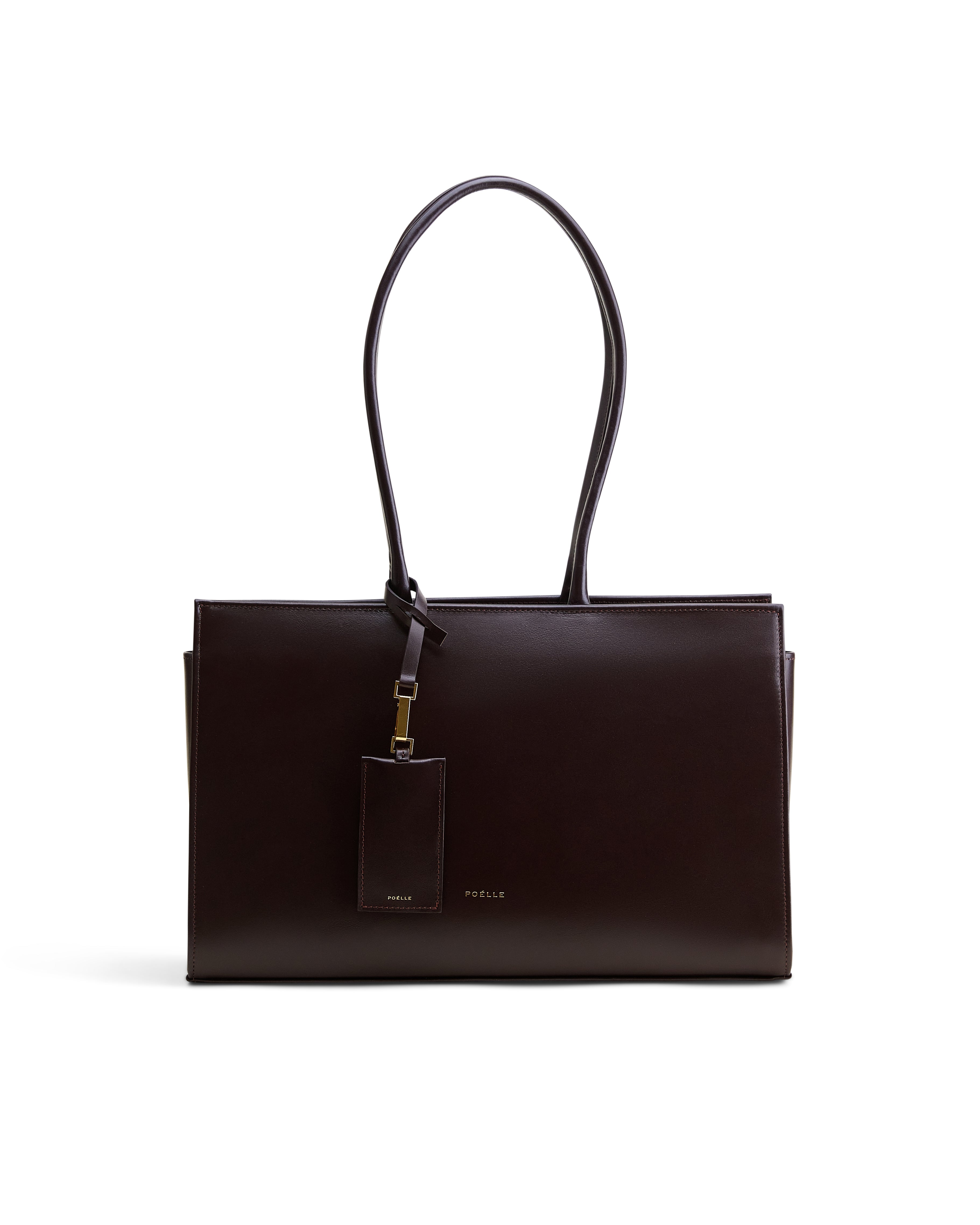 Medium Carolyn Tote Bag in Brown